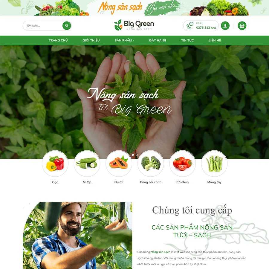 Theme WordPress giới thiệu sàn giao dịch BO 02 - Ảnh 7